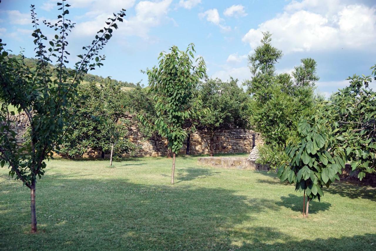 Tourist Farm With Apartments Fig Tree Dekani المظهر الخارجي الصورة