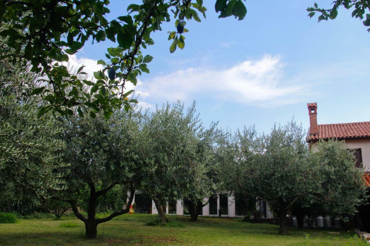 Tourist Farm With Apartments Fig Tree Dekani المظهر الخارجي الصورة