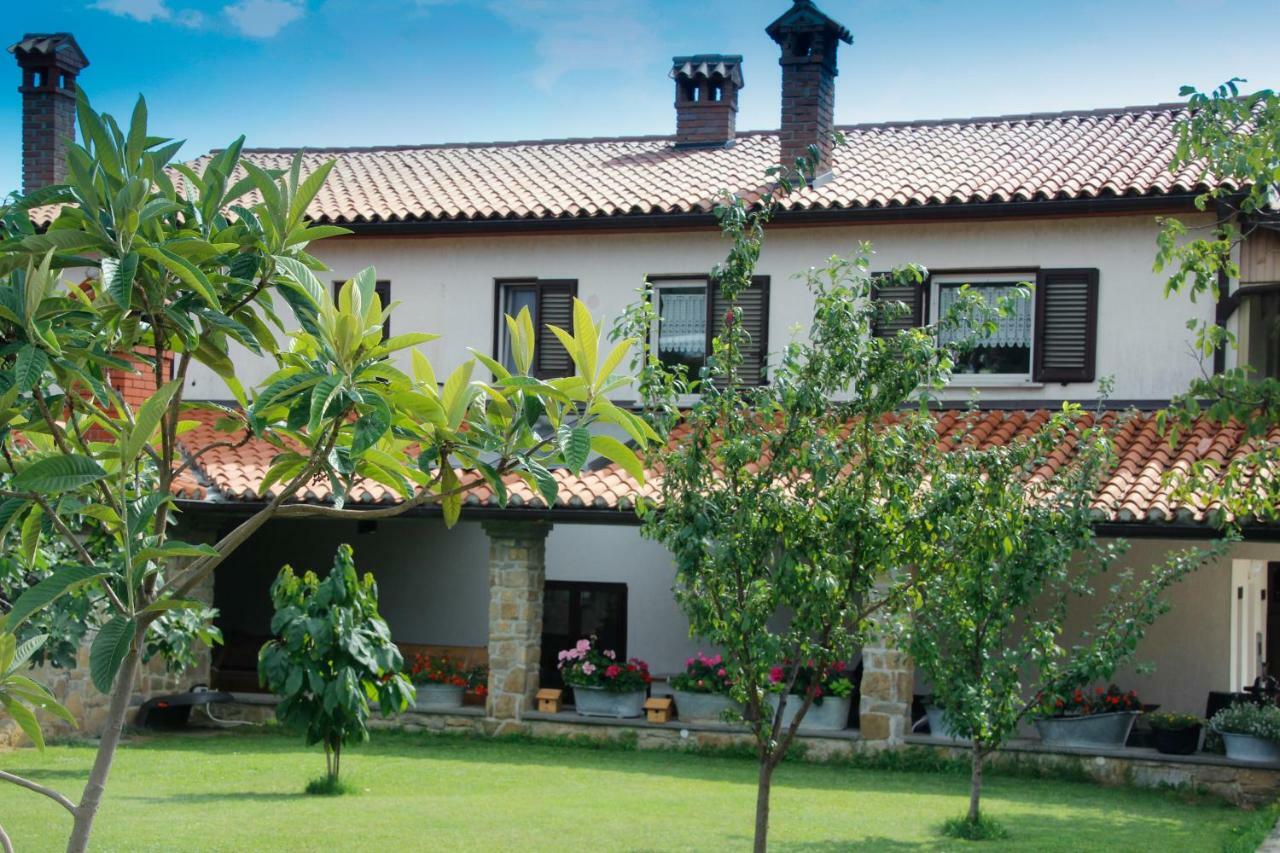 Tourist Farm With Apartments Fig Tree Dekani المظهر الخارجي الصورة